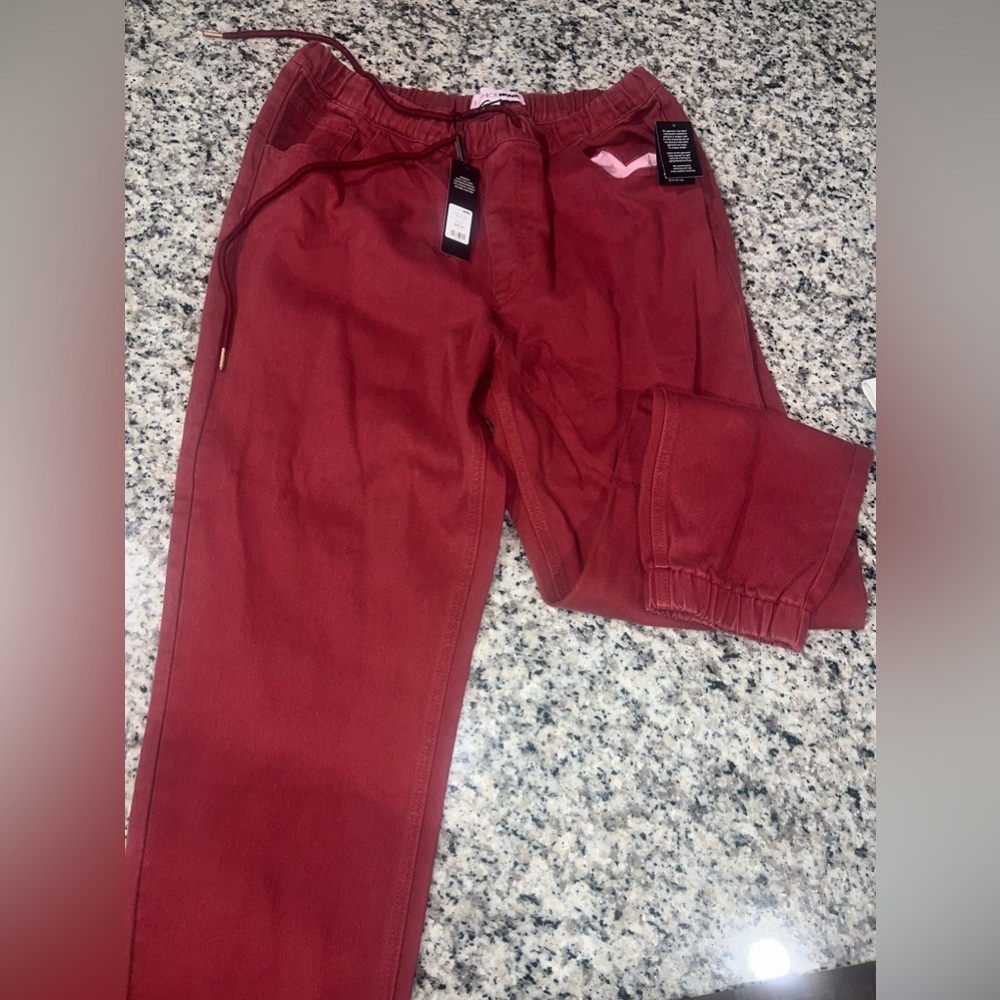 Never worn Fashion nova Jogger pants